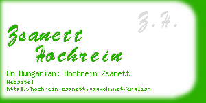 zsanett hochrein business card